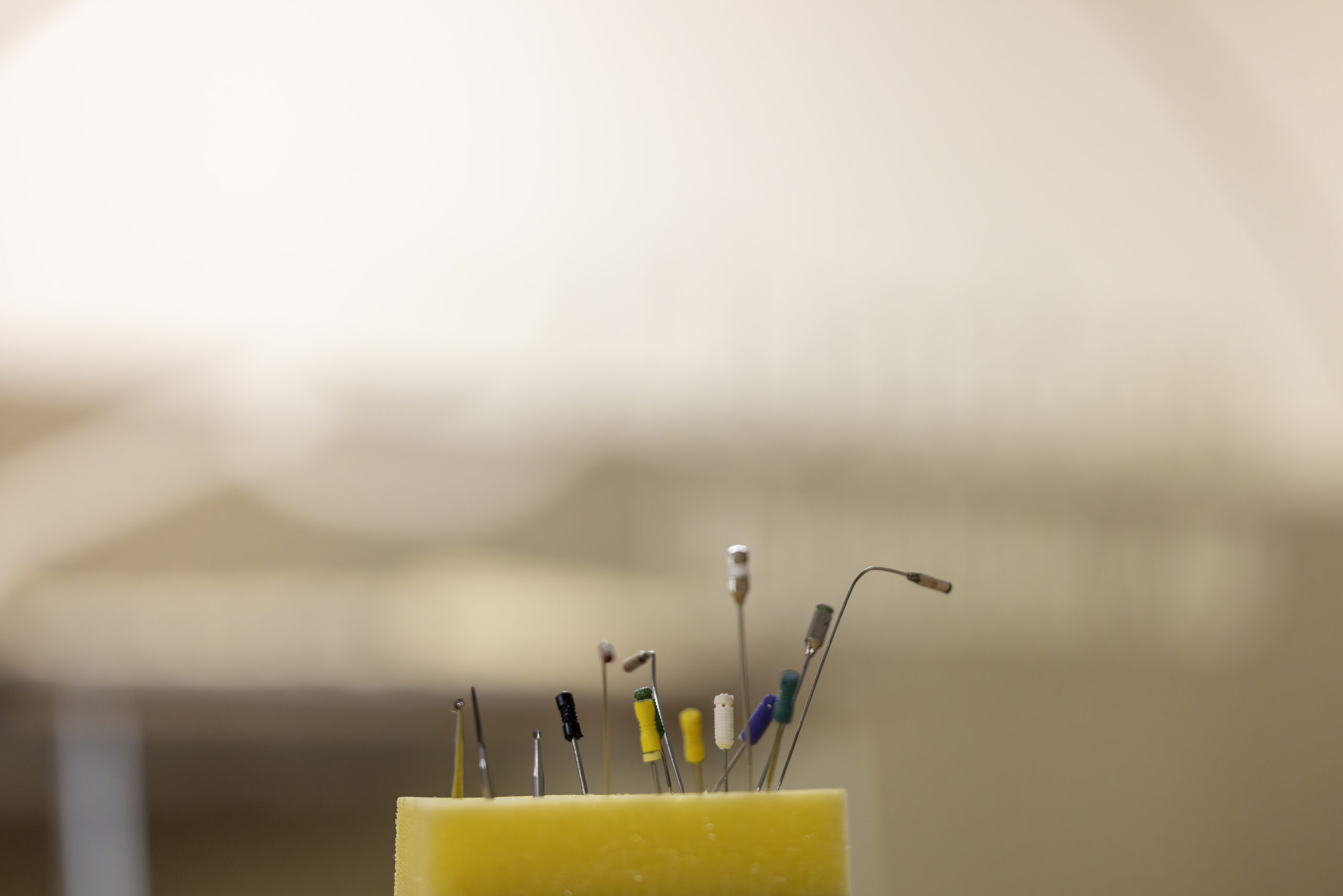 Endodonti